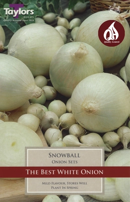 Onion Snowball 14-21