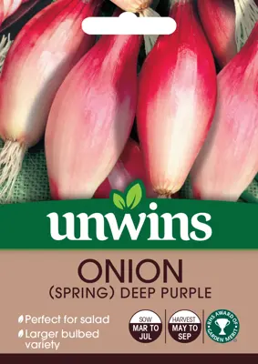 Onion Spring Deep Purple - image 2