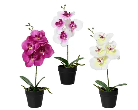 Orchid In Pot Polyester Orchid In Black Plastic Pot 3Col  H32.00cm asst.