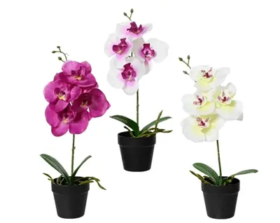 Orchid In Pot Polyester Orchid In Black Plastic Pot 3Col  H32.00cm asst.