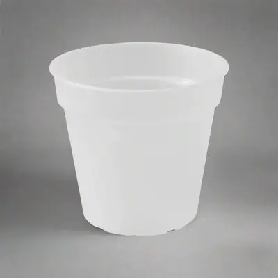 Orchidpot 15Cm Transparent