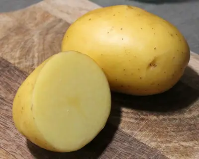 Organic Seed Potatoes MAIWEN - 2Kgs Pack