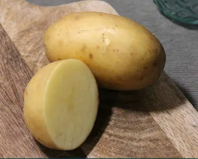 Organic Seed Potatoes STARLETTE - 2kg Pack