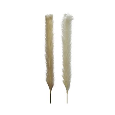 Pampas Pampas Polyester Assorted
