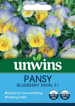 Pansy Blueberry Swirl - image 1