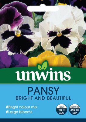 Pansy Bright and Beautiful - image 1