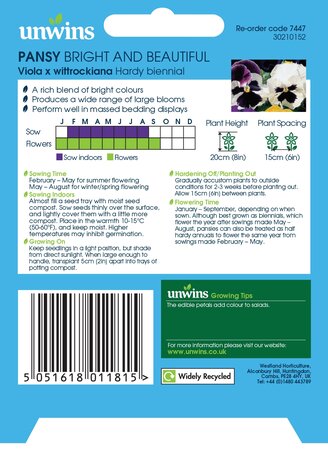 Pansy Bright and Beautiful - image 2