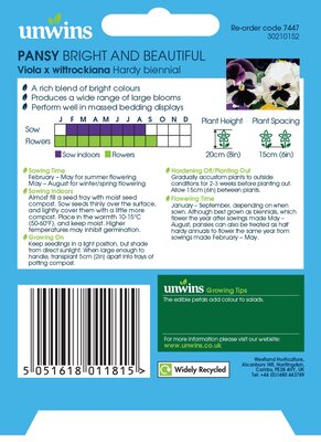 Pansy Bright and Beautiful - image 2