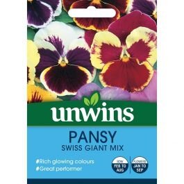 Pansy Swiss Giant Mix