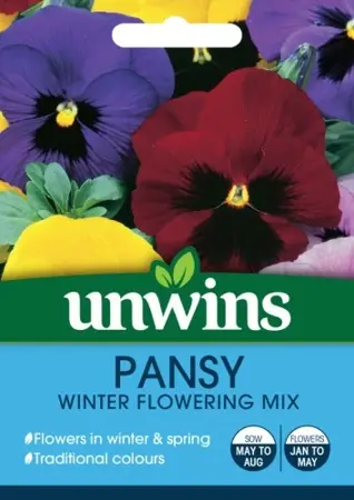 Pansy Winter Flowering Mix