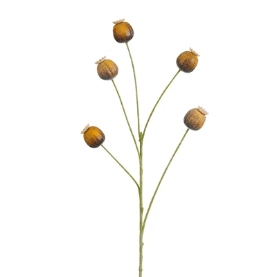 Papaver Spray Brown  L73Cm
