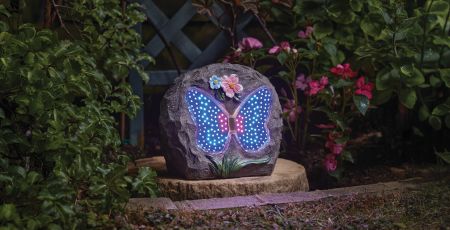 Papillon Animated Rock