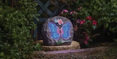 Papillon Animated Rock