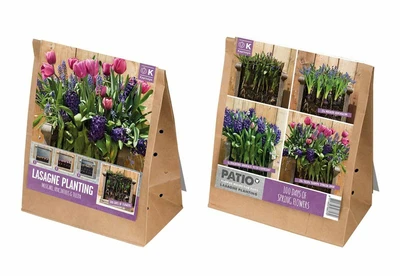 Patio Lasagne Pink-Blue X40