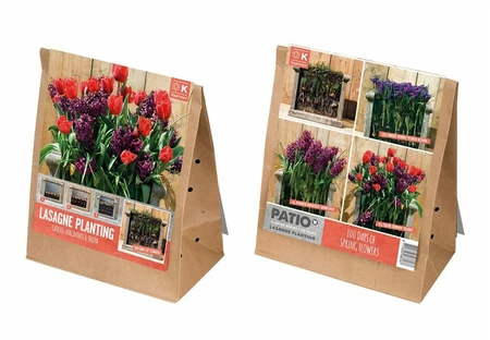 Patio Lasagne Red-Purple X40