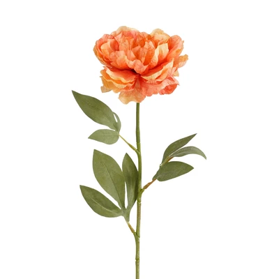 Peony Orange  L59Cm