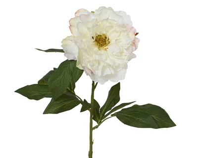 Peony Polyester Cream H.70Cm