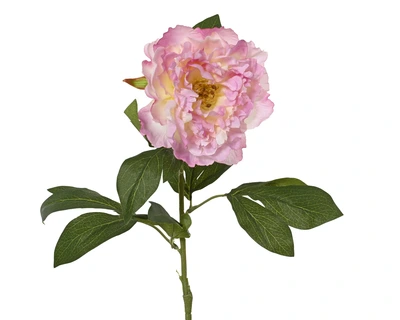 Peony Polyester Soft Pink H.70Cm
