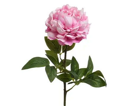 Peony Pon Stem Polyester H72.00cm pink - image 1