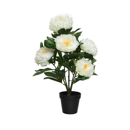 Peony Rose In Pot Polyester H57.00cm White - image 1