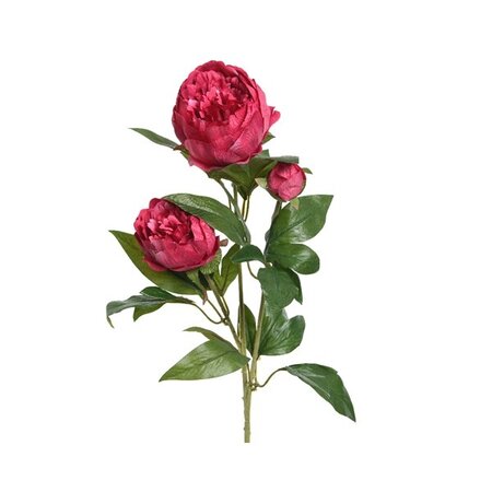 Peony Rose Polyester H75cm Fuchsia
