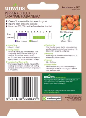 Pepper (Chilli) Orange Habanero - image 2