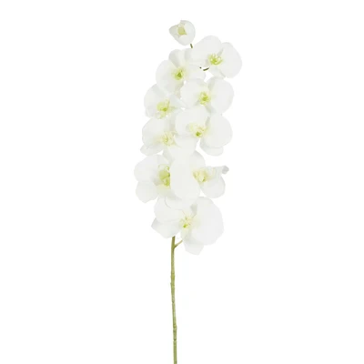 Phalaenopsis Cream - L91Cm 126461 Creamwhite01
