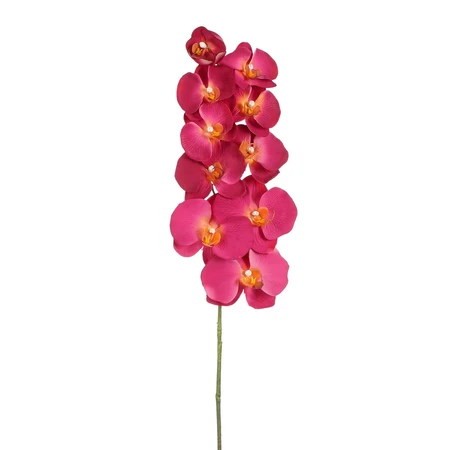 Phalaenopsis Fuchsia - L91Cm 126461 Beauty01