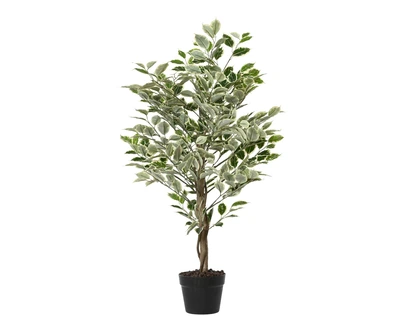 Plant Green In Pot Pe Ficus W Stone Green H.120Cm