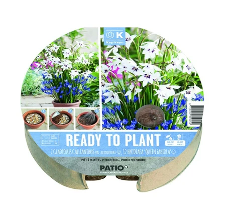 Plant-O-Mat Tray 24 Cm W7