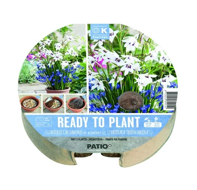 Plant-O-Mat Tray 24 Cm W7