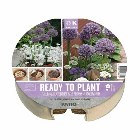 Plant-O-Mat Tray 24 Cm Z2