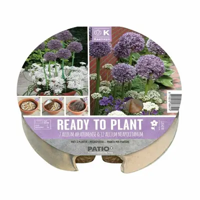 Plant-O-Mat Tray 24 Cm Z2