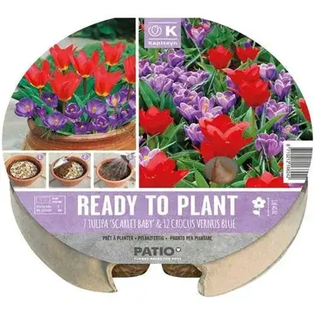 Plant-O-Mat Tray 24 Cm Z3