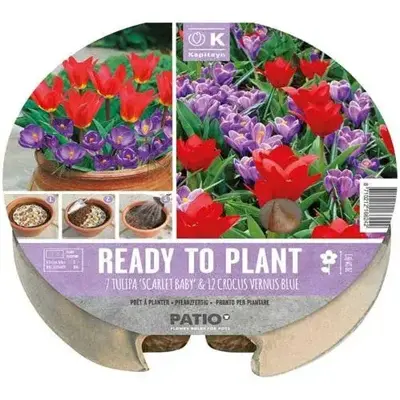 Plant-O-Mat Tray 24 Cm Z3