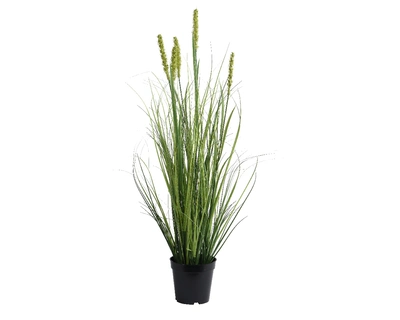 Plant Pvc Green dia30-H80cm