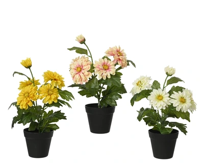 Plant Zinnia Polyester in Black Pot 3Col  Asst. H.40Cm - image 1
