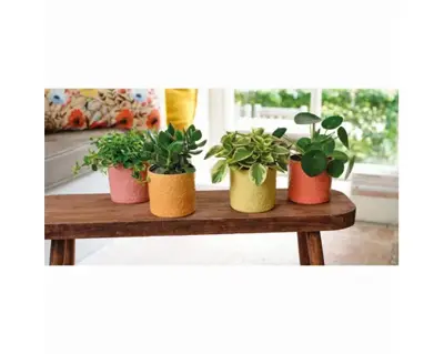 Planter Stoneware Glazed All Over Print D.12Cm X H.11Cm - image 2