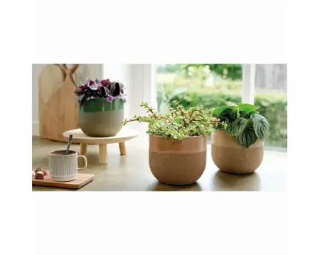 Planter Terracotta 3Col Asst. D.18.5Cm X H.16Cm - image 2