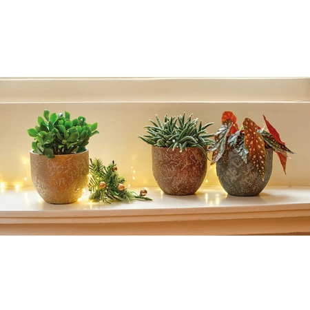 Planter Terracotta Asst. D.16cm x H.14cm - image 2