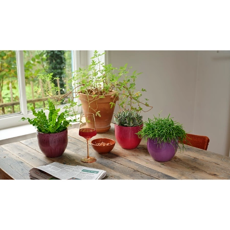 Planter Terracotta Asst. dia16-H14cm - image 2