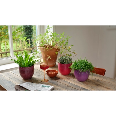 Planter Terracotta Asst. dia16-H14cm - image 2