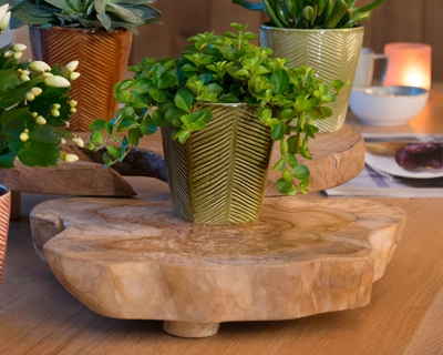 Plate Teakwood Dia40.00-H7.00cm Natural - image 3