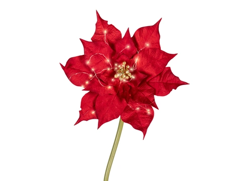 Poinsettia BO Indoor Red W.40cm x H.120cm - image 2