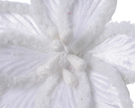 Poinsettia On Clip Velvet With Artificial Fur Winter White Dia30 - image 2