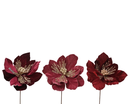 Poinsettia Velvet Asst.Oxblood/Pink D.40cm x H.55cm