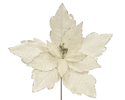Poinsettia Velvet Cream D.50cm x H.15cm