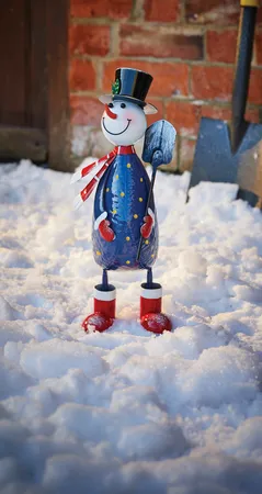 Polka Frosty - image 1