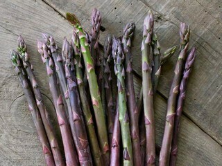 PP Asparagus Pacific Purple