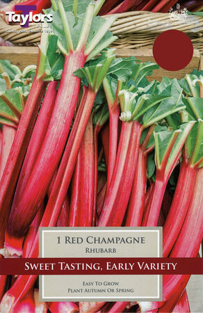 PP Rhubarb Red Champagne